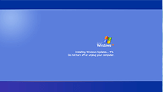 Windows XP 更新界面